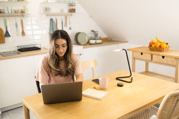 Goals of Being a Software Dev and Researcher